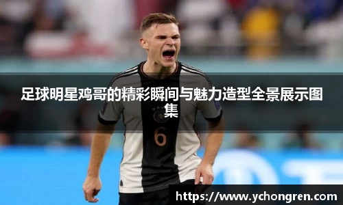 jn江南·体育登录入口